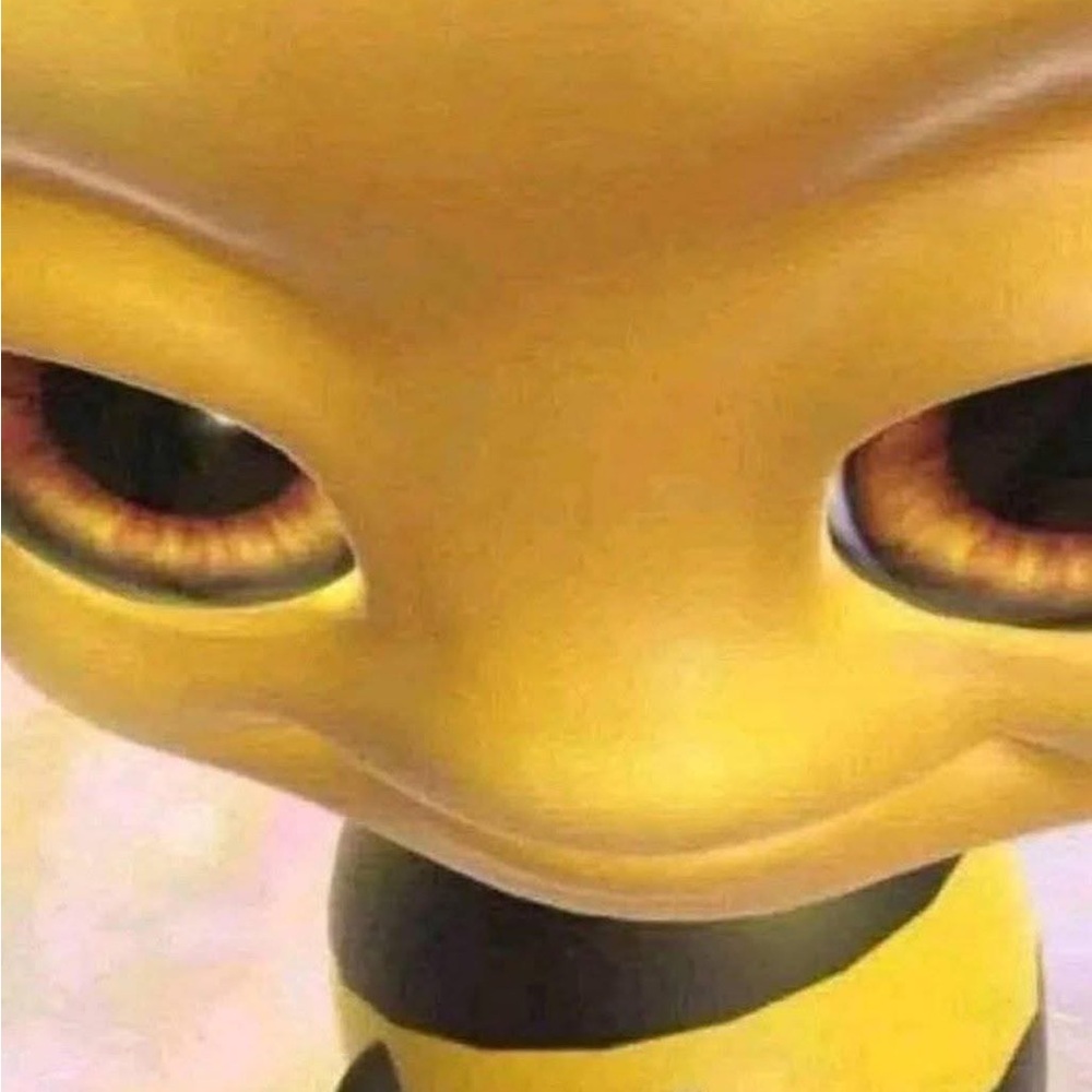 Meet your Posher, Nandi